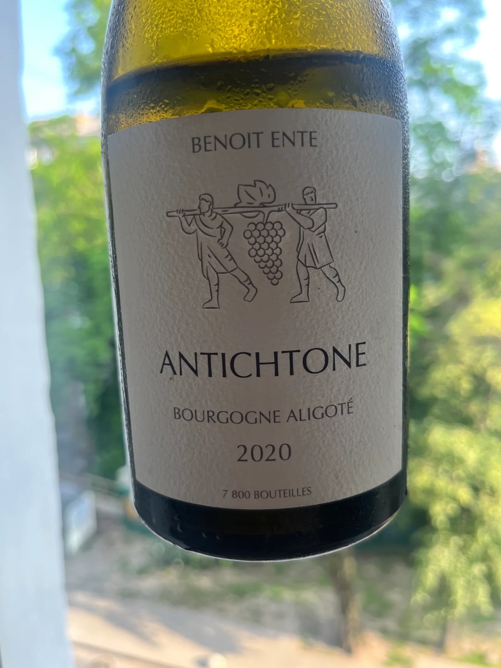 Benoit Ente Antichtone 2020