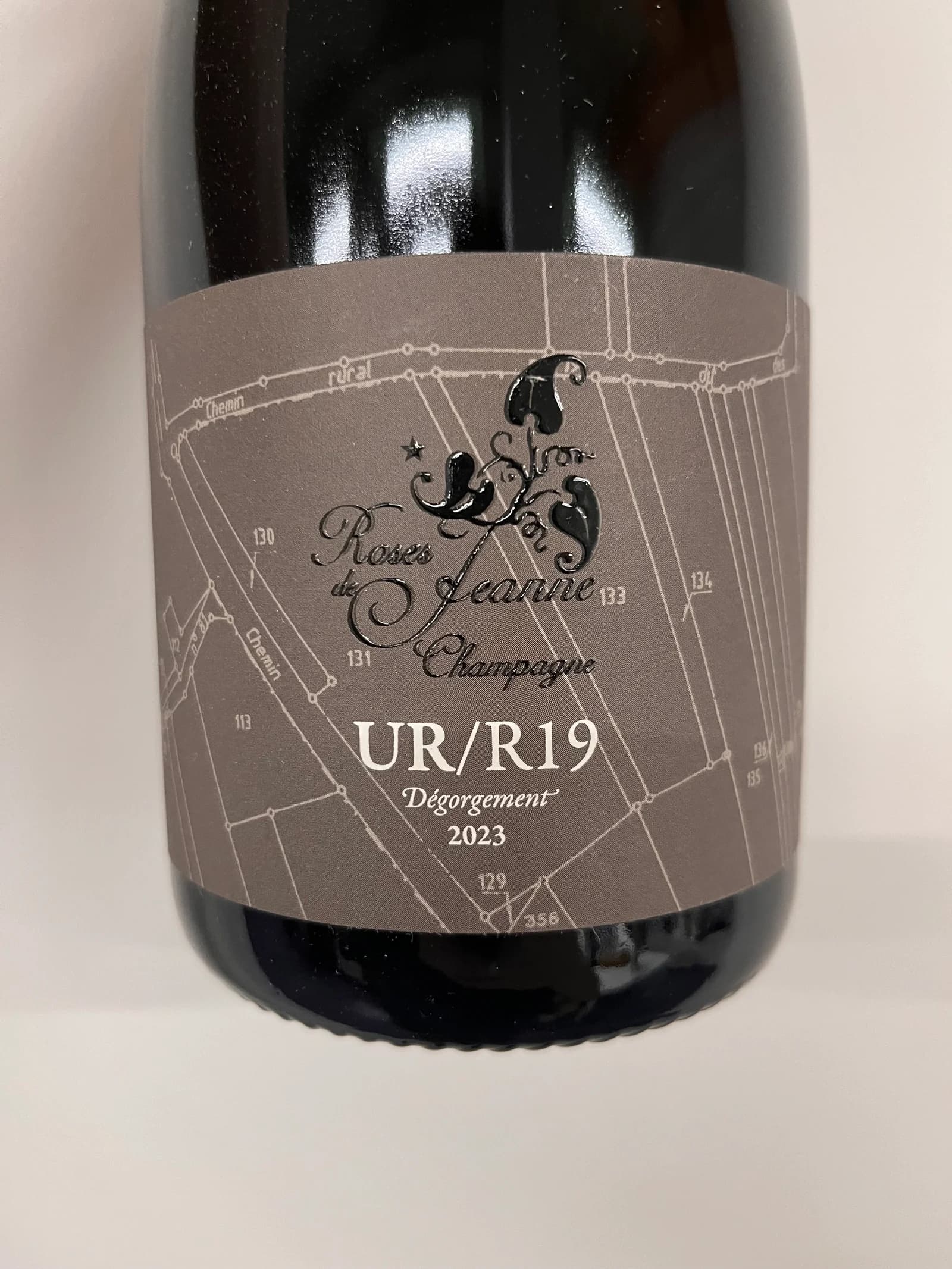 Roses de Jeanne Les Ursules UR/R19 2019