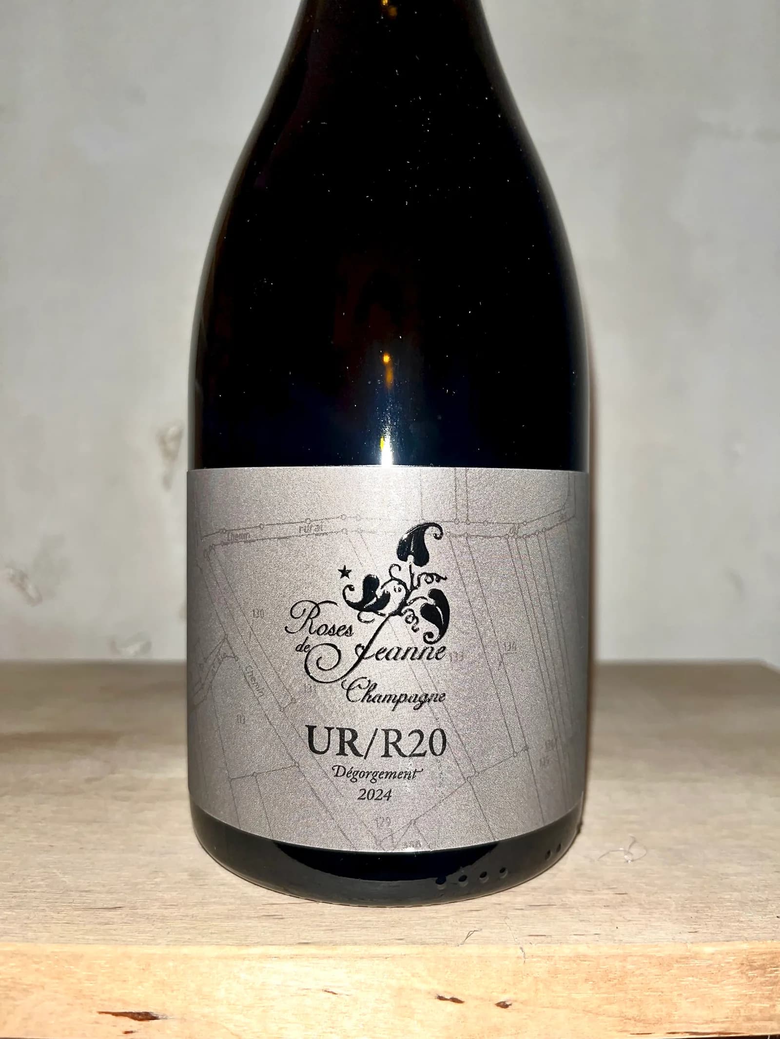 Roses de Jeanne Les Ursules UR/R20 2020