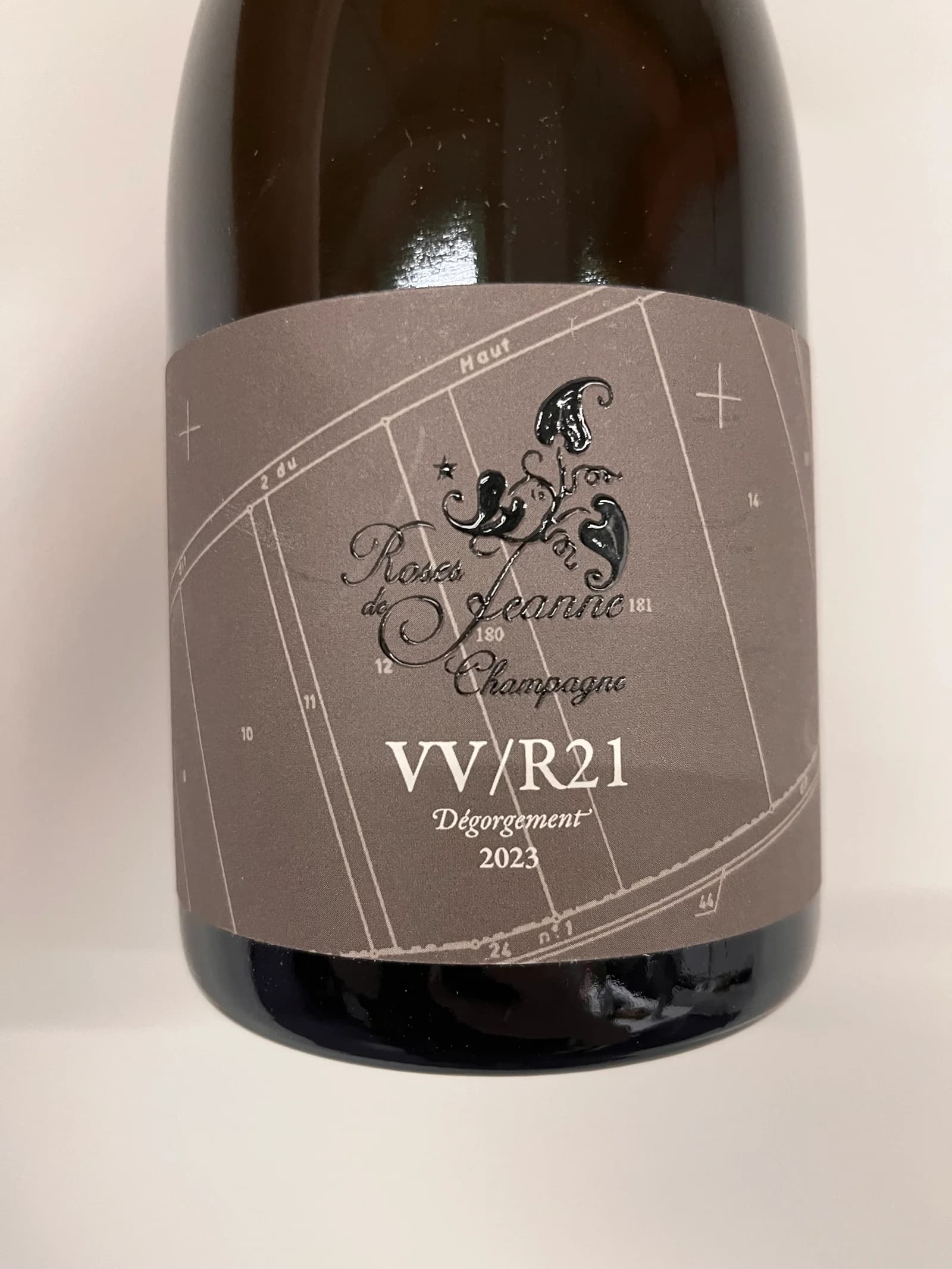 Roses de Jeanne Val Vilaine VV/R21 2021