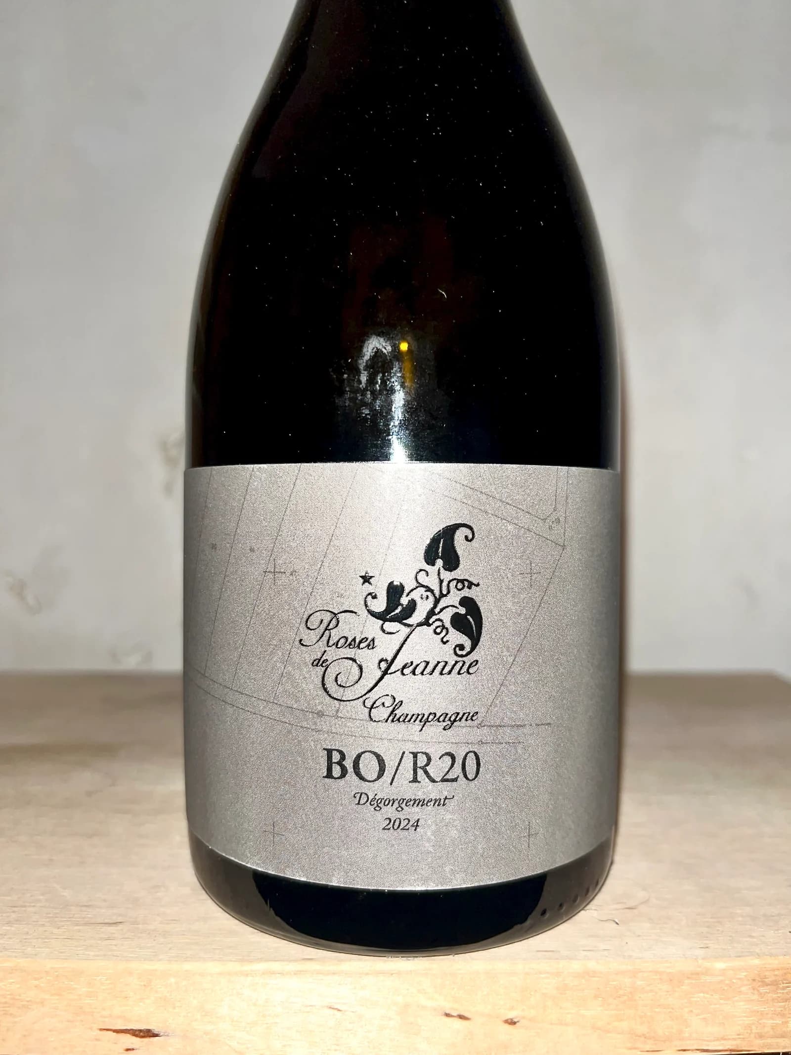 Roses de Jeanne La Boloree BO/R20 2020