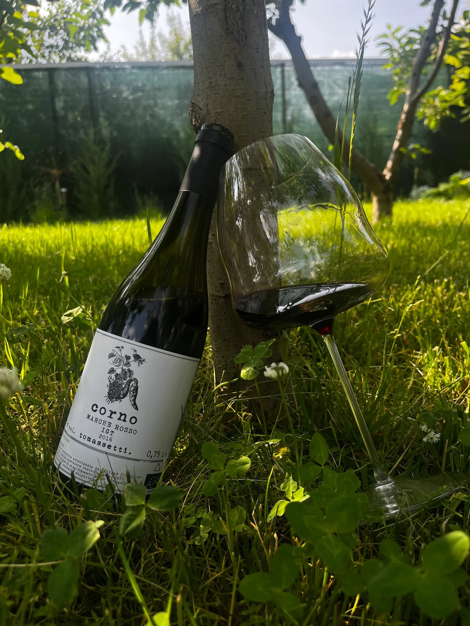 Tomassetti Corno 2016