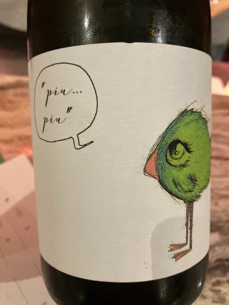 Fio Wein Piu Piu Petnat NV